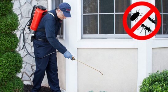 Andırın Dezenfeksiyon böcek ilaçlama ve haşere kontrolü — ilaclama-tr.com